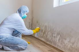 Best Mold Damage Restoration  in Norwalk, CA